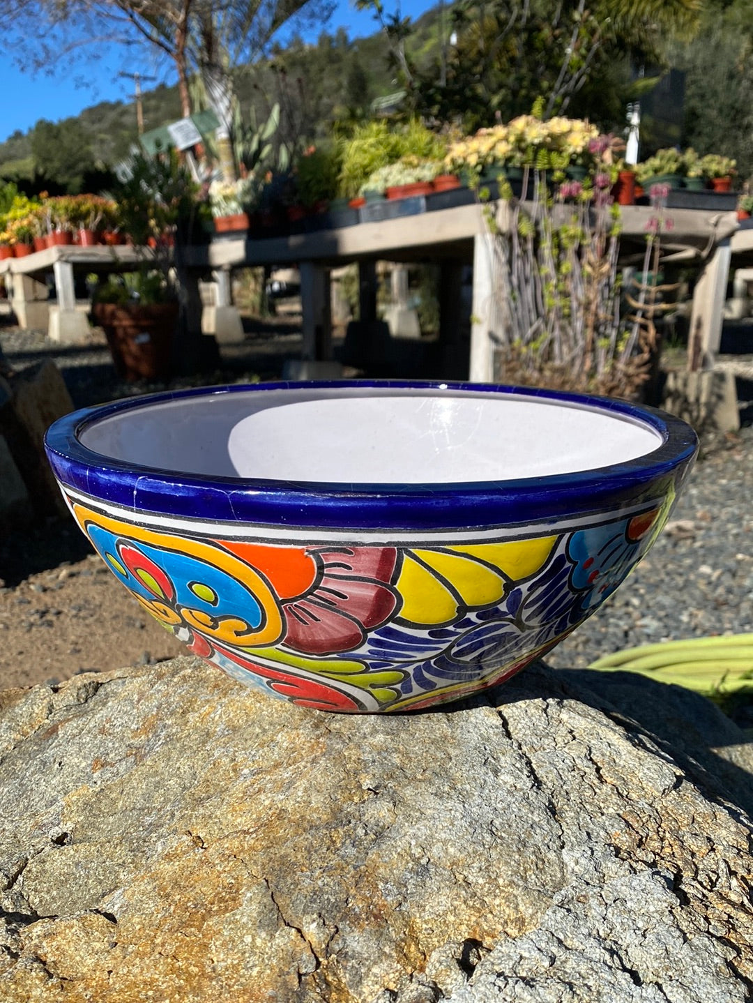 bonsai tree bowl Talavera Bonsai Bowl Pot – The Madd Potter