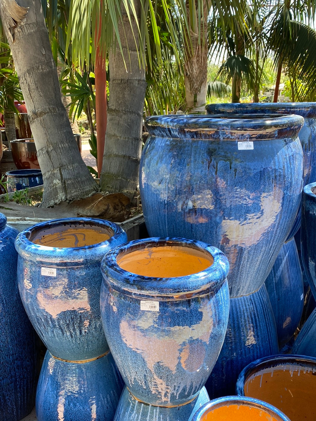 jar planter pots Foshan Jar Pot – The Madd Potter