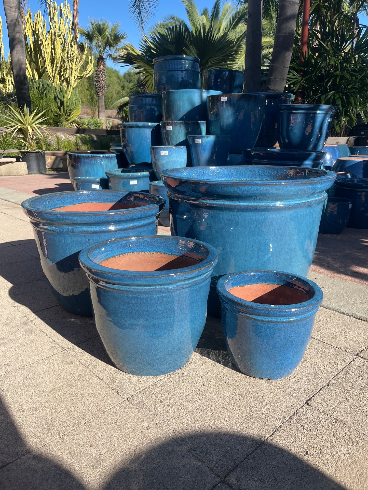 Monarch Flat Rim Pot