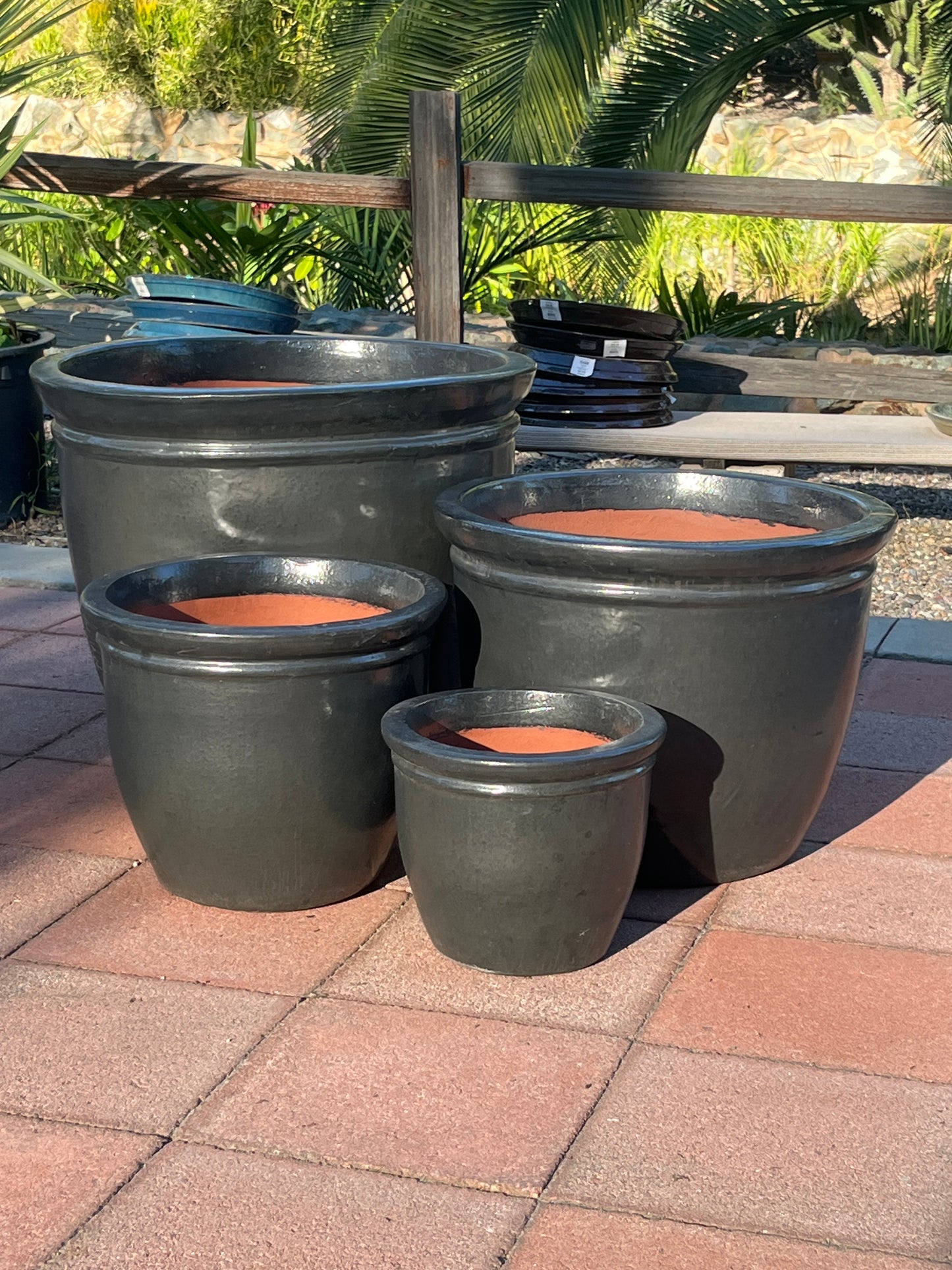 Monarch Flat Rim Pot