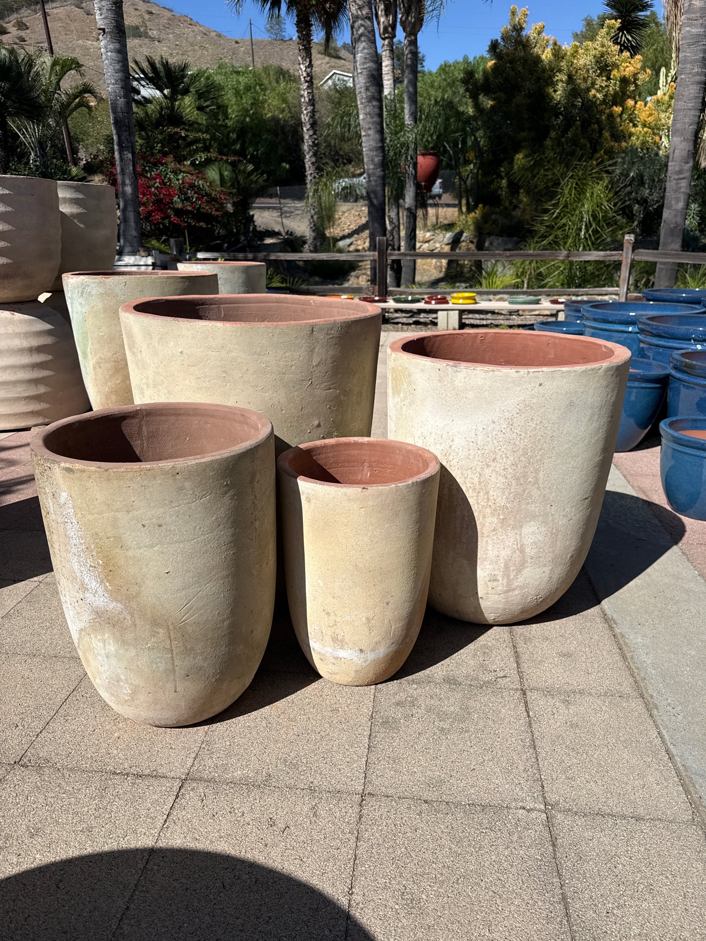 Avra Bullet Pot