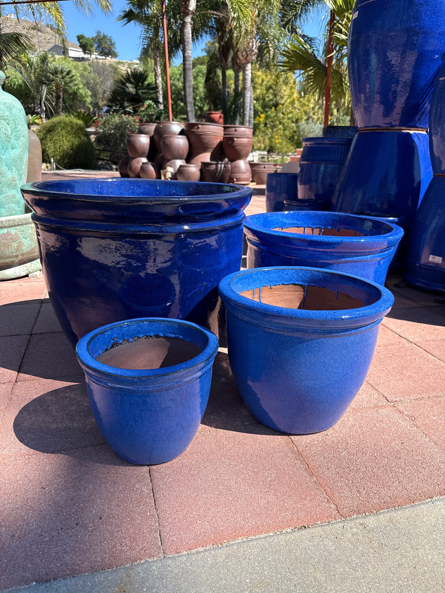 Monarch Flat Rim Pot