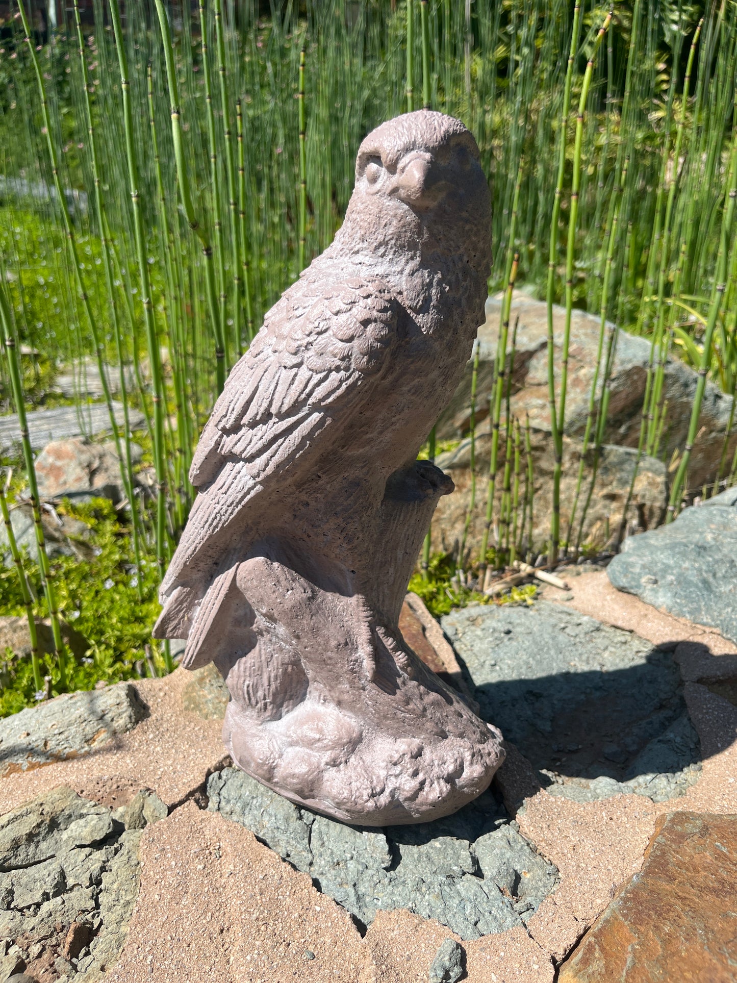 Hawk Statue