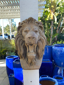 Wall Mounted Lion Head