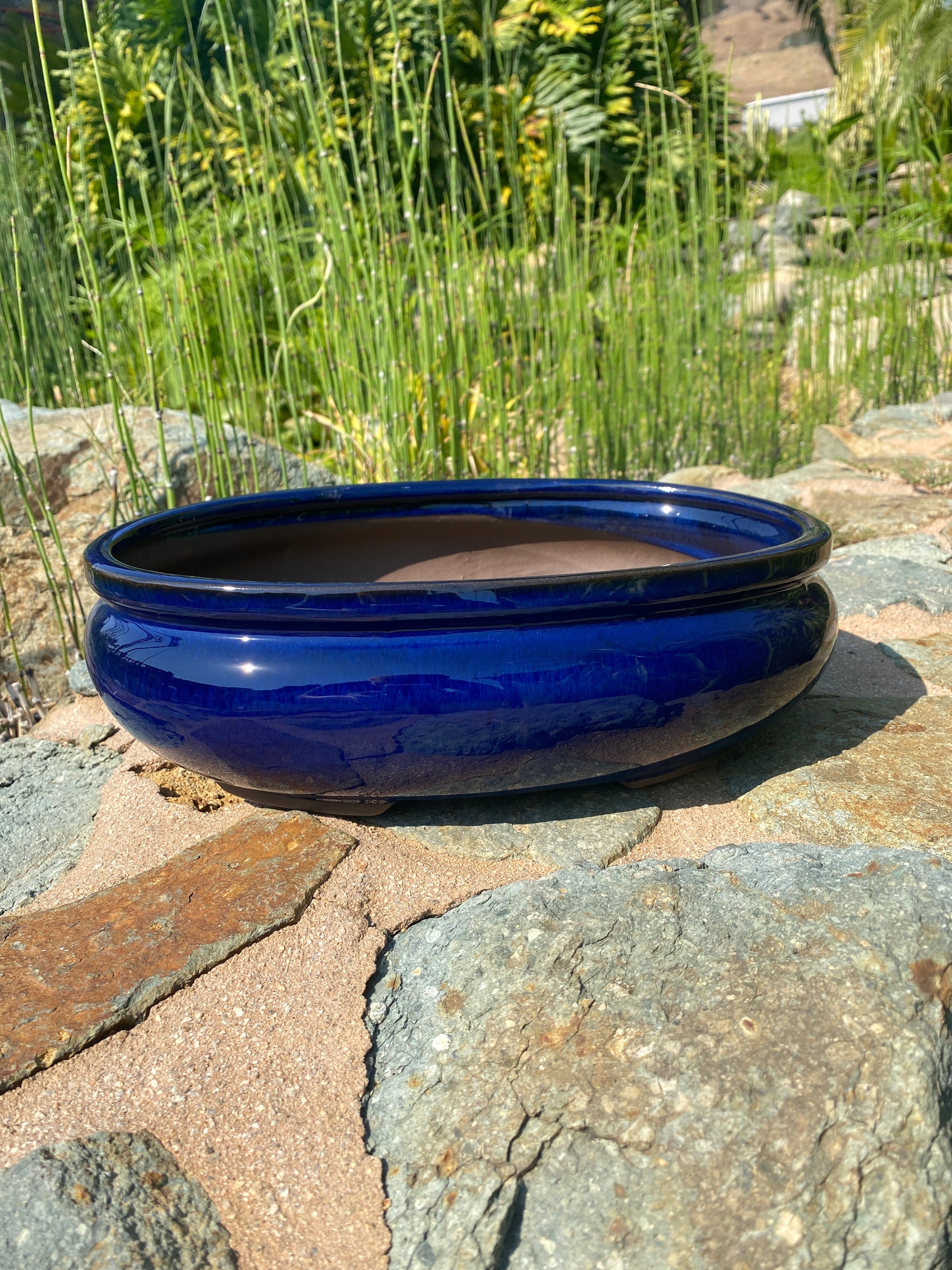 oval pot for plants Oval Bonsai Pot – The Madd Potter