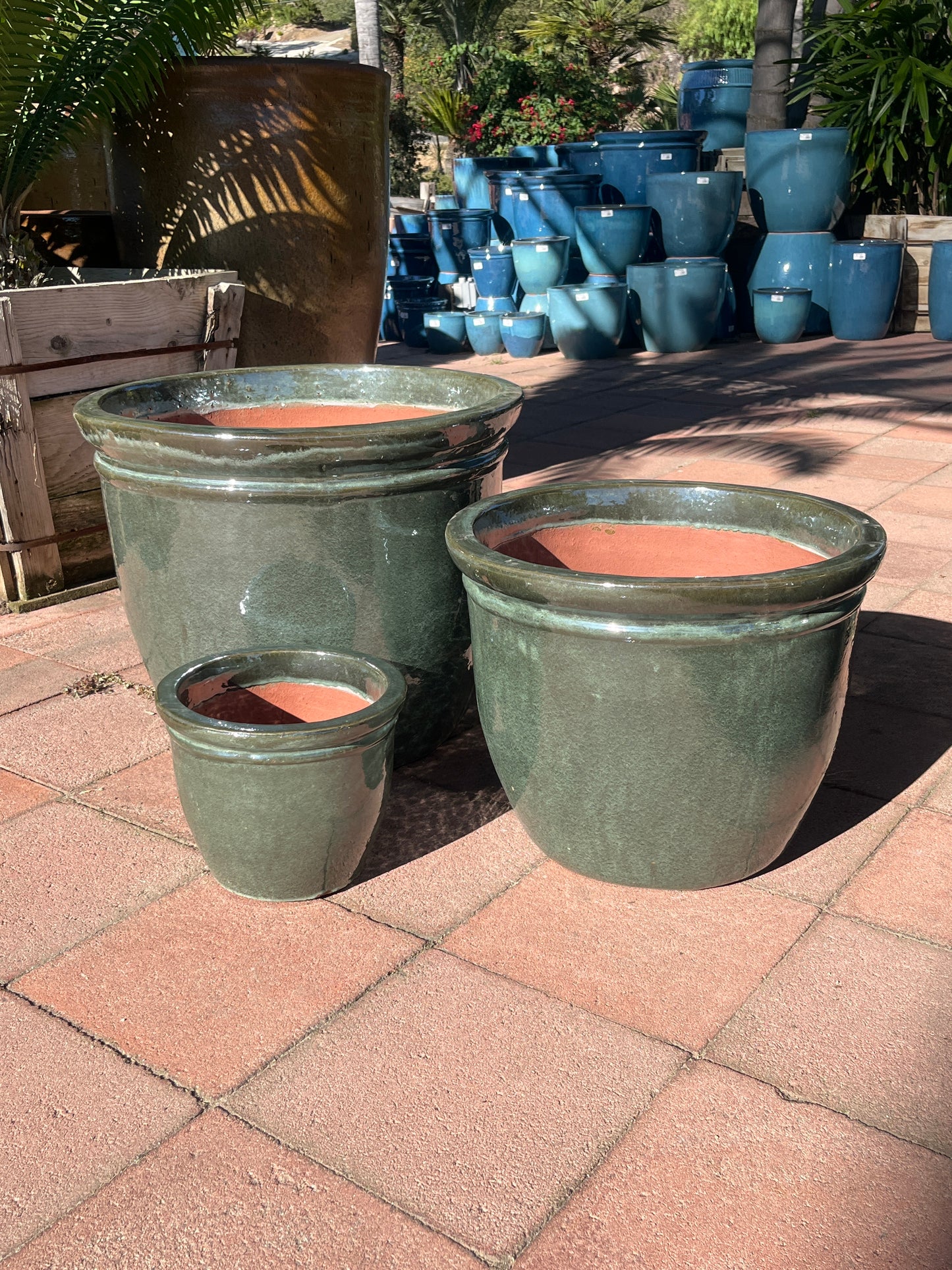 Monarch Flat Rim Pot