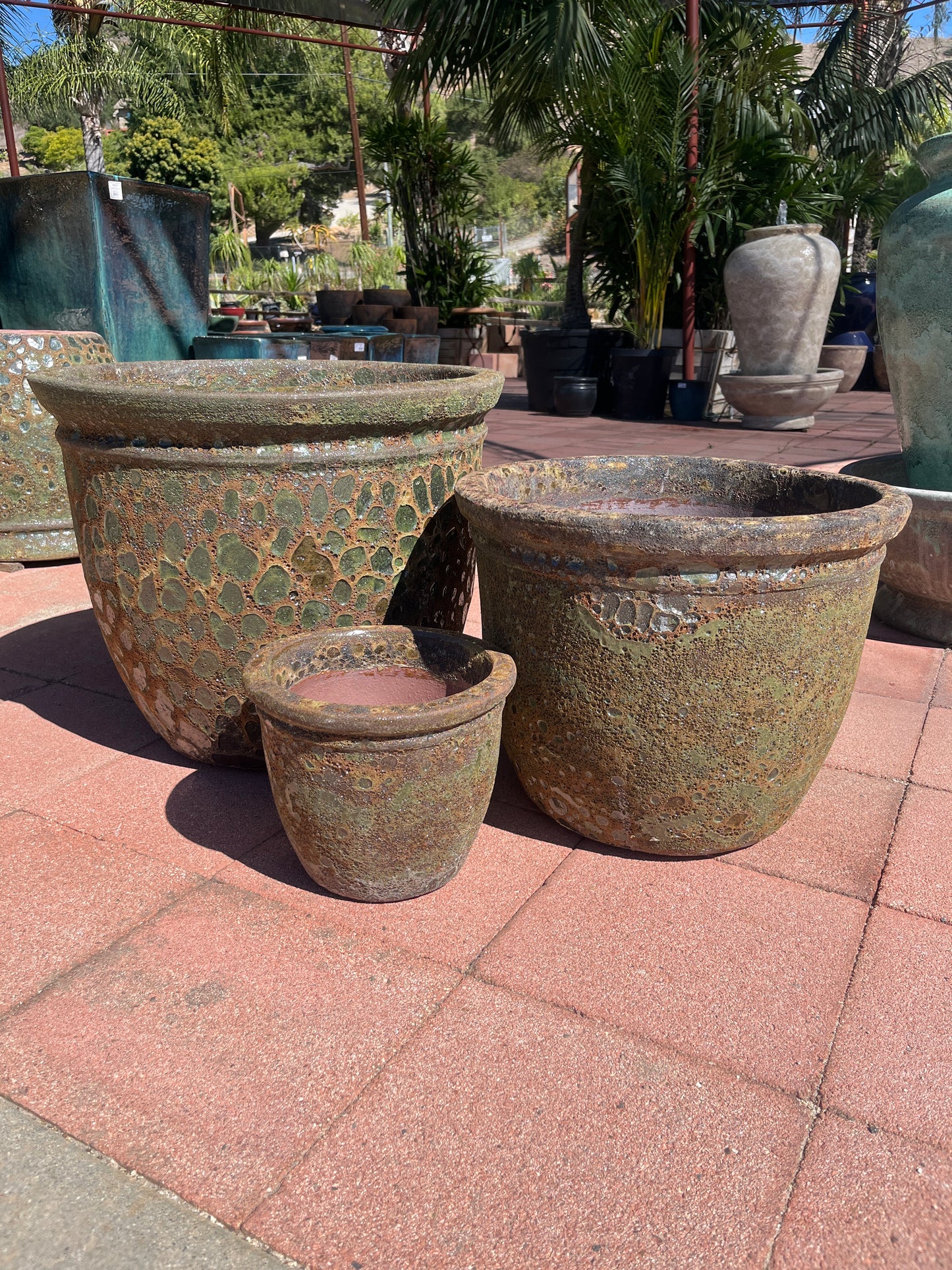 Monarch Flat Rim Pot