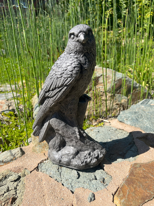 Hawk Statue