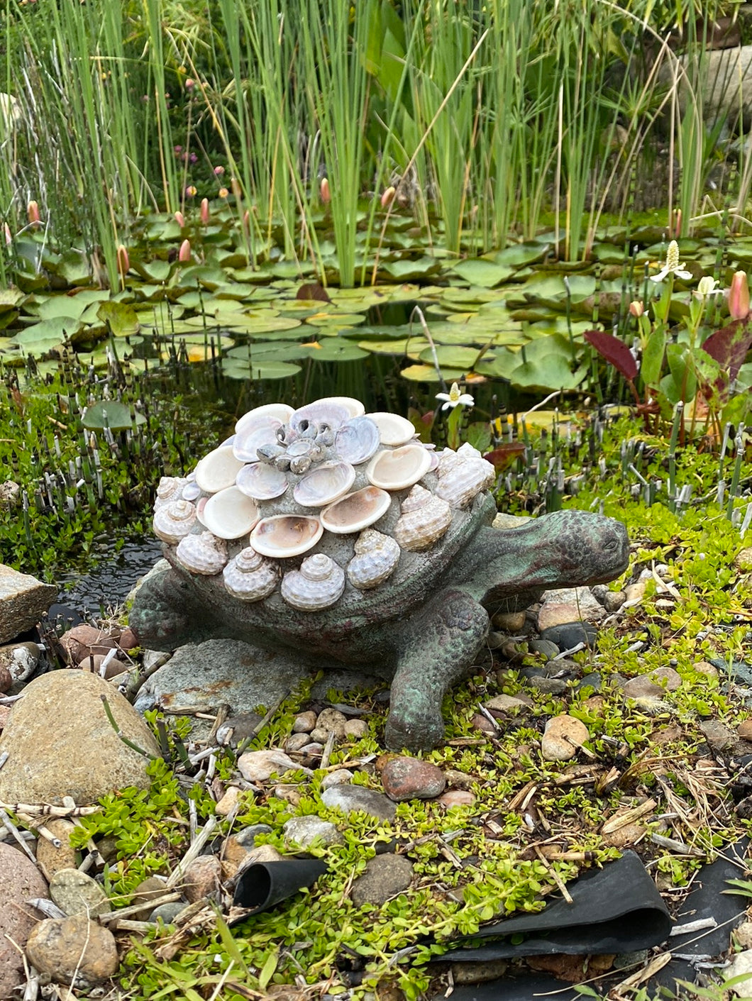 Seashell Tortoise Statue