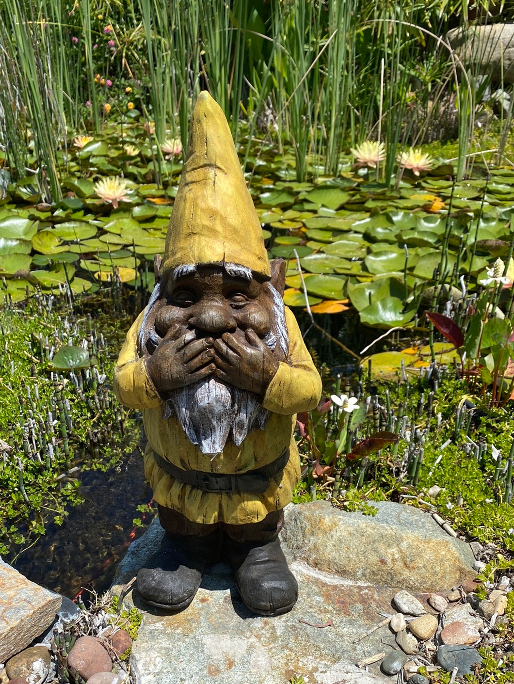 Hide and Seek Gnome Statue