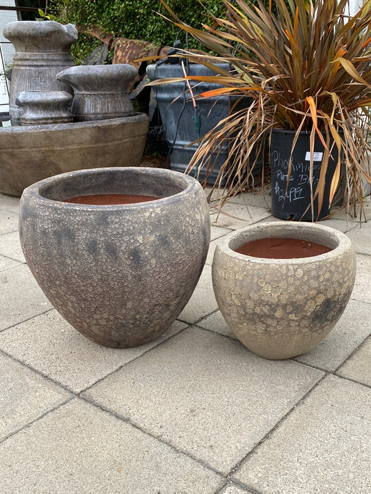 Vietnamese Atlantic Cone Pot