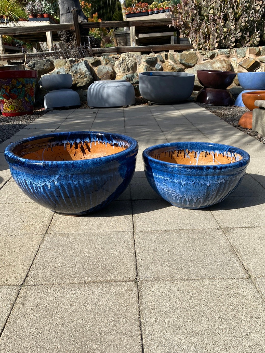 bowl pot planter Foshan Bowl Pot – The Madd Potter
