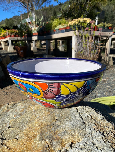 Talavera Bonsai Bowl Pot