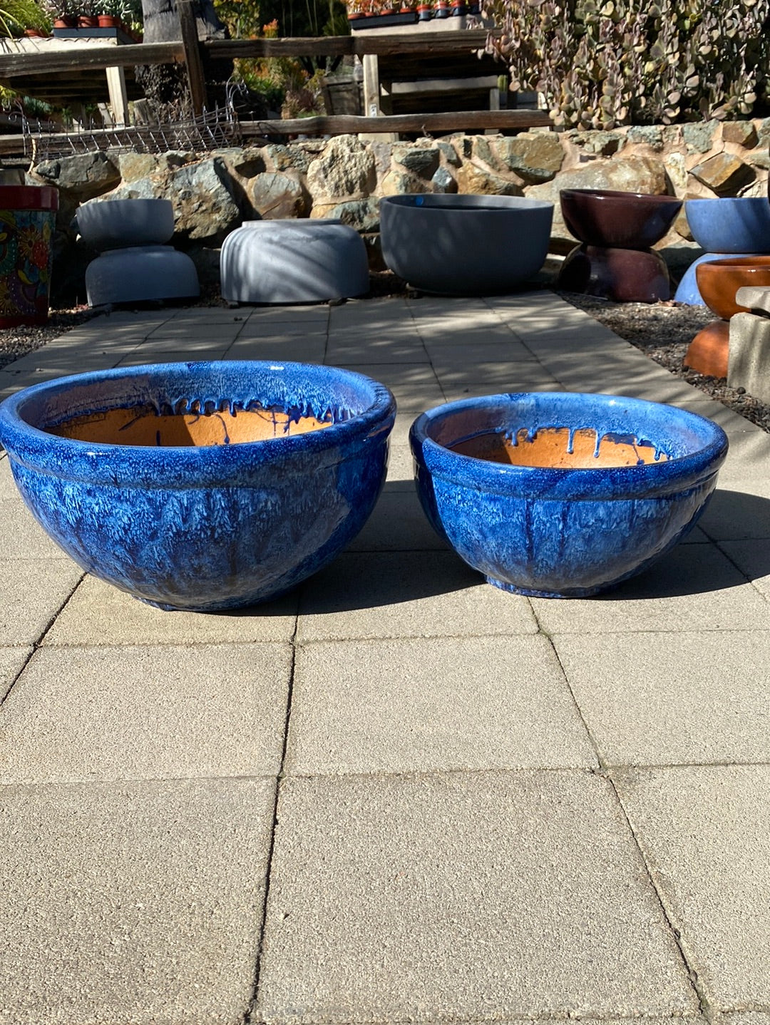 bowl shaped plant pots Foshan Bowl Pot – The Madd Potter